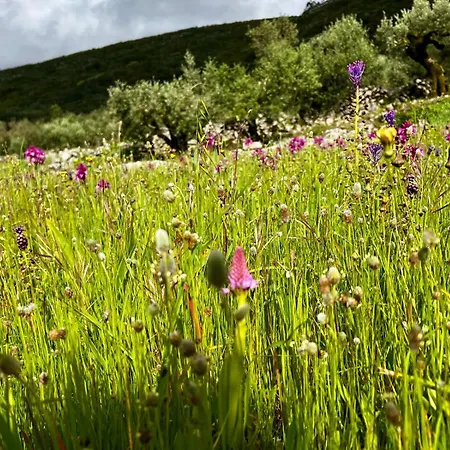 Holiday home Casa Da Curva Mendiga