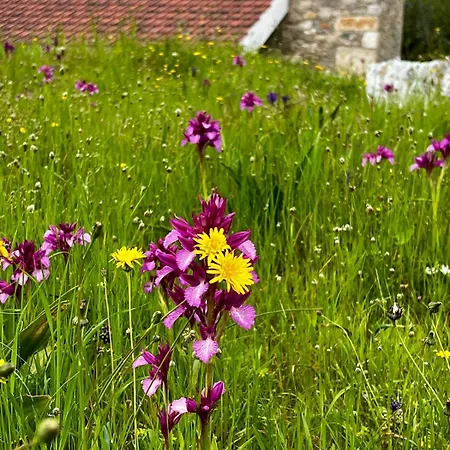 Holiday home Casa Da Curva *