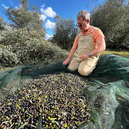 Casa Da Curva Holiday home Mendiga