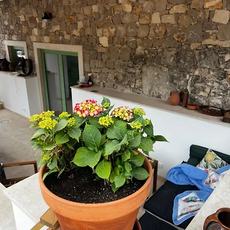 Casa Da Curva * Mendiga