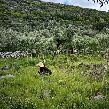 Casa Da Curva בית נופש