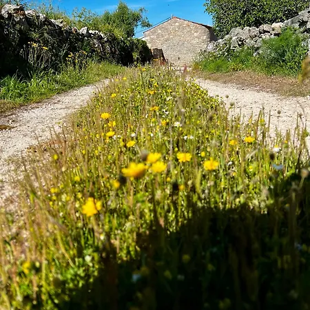 Holiday home Casa Da Curva